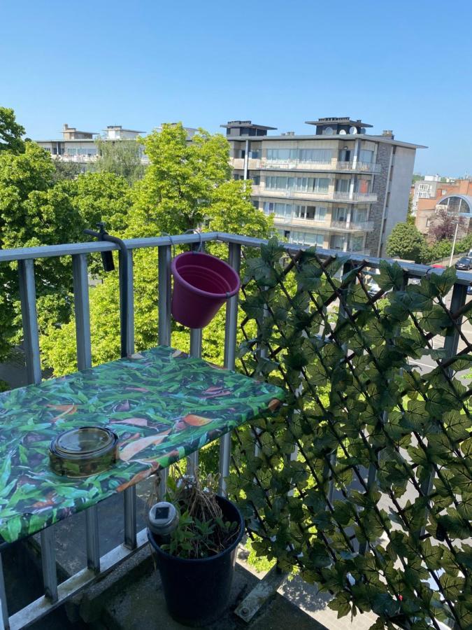 Expo Apartamento Bruselas
